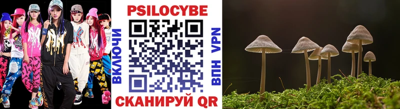 Псилоцибиновые грибы Magic Shrooms  Купить  Кувандык 